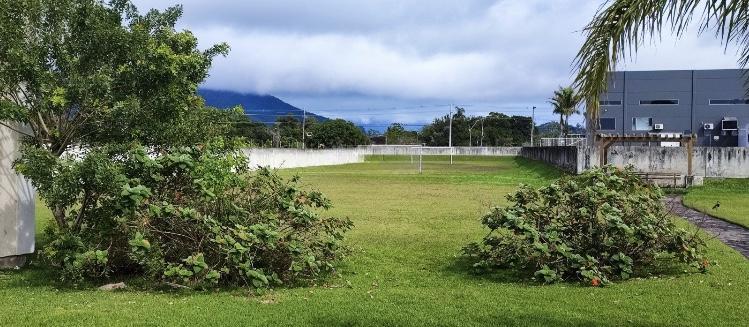 Terreno, 396 m² - Foto 6