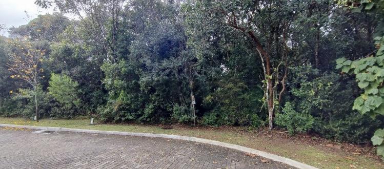 Terreno, 396 m² - Foto 5