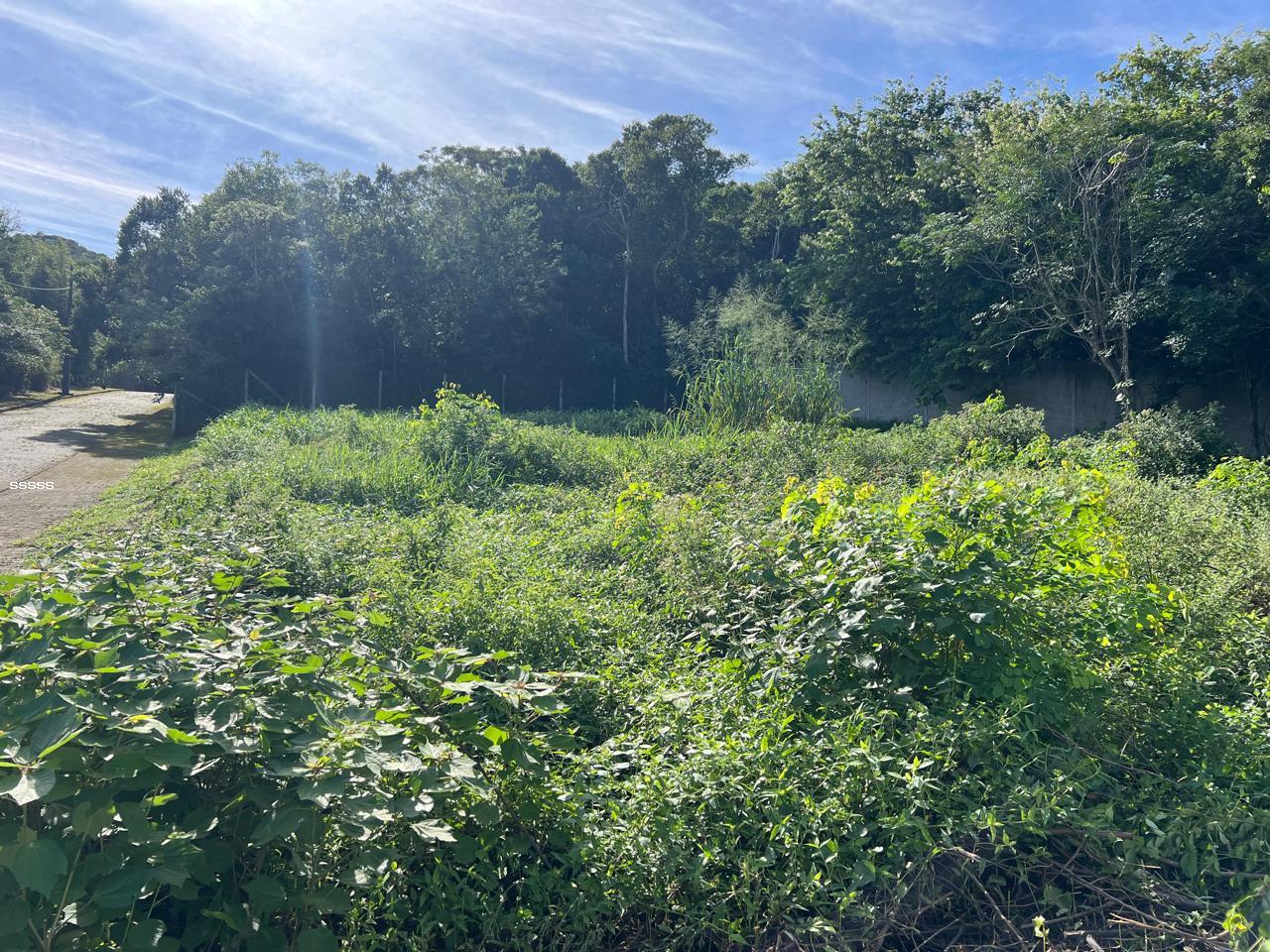 Terreno, 455 m² - Foto 13