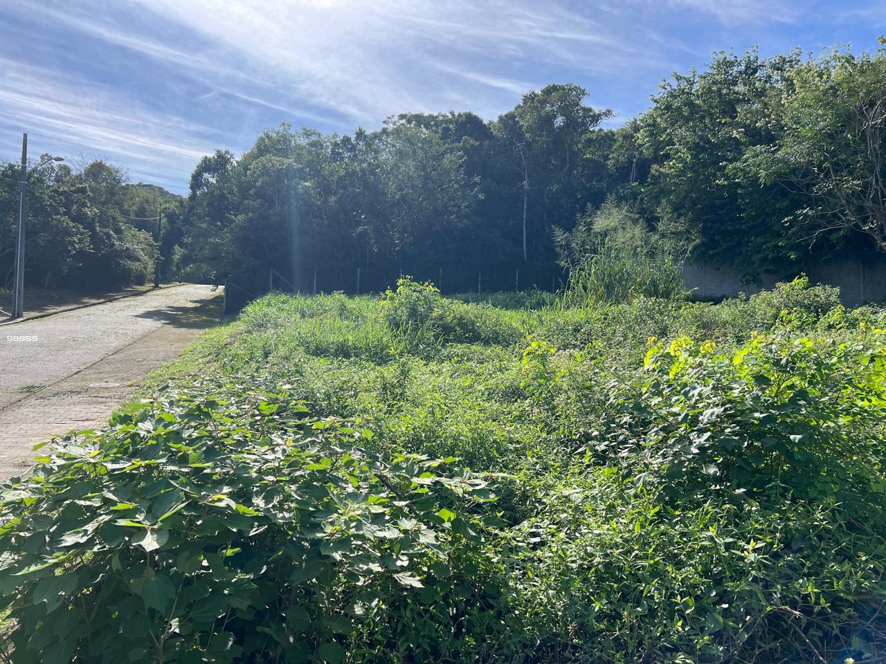 Terreno, 455 m² - Foto 14