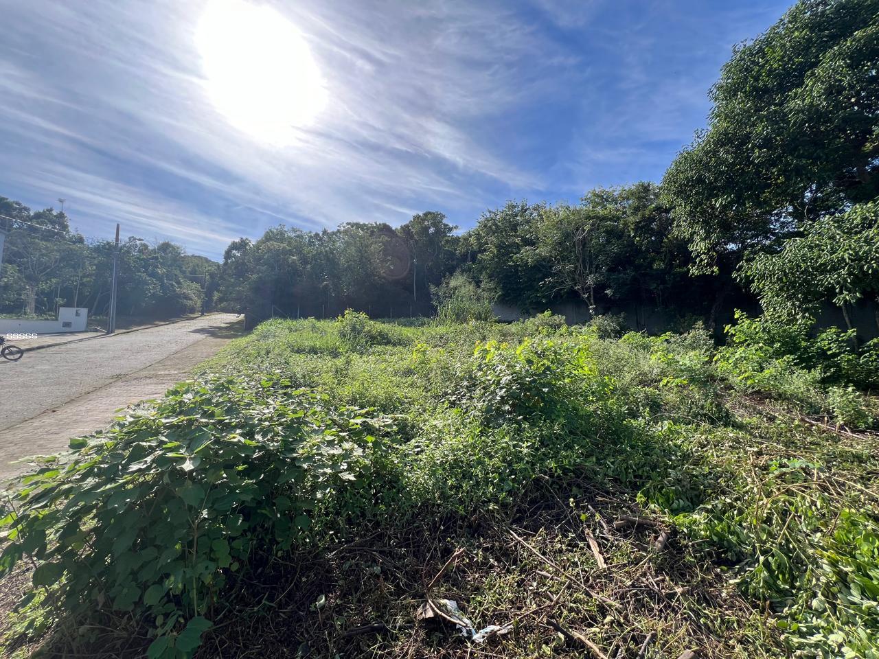 Terreno, 455 m² - Foto 15