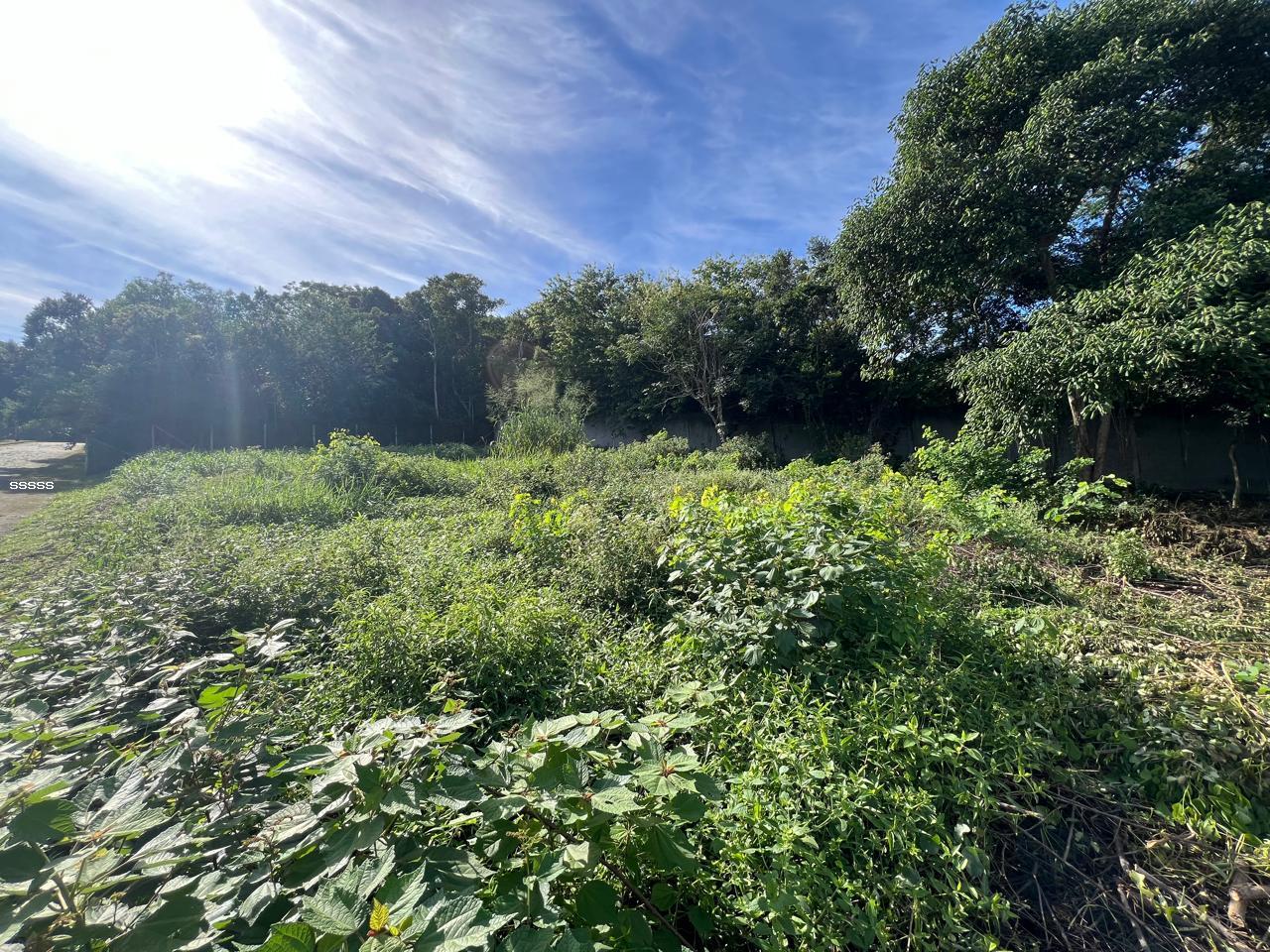 Terreno, 455 m² - Foto 16