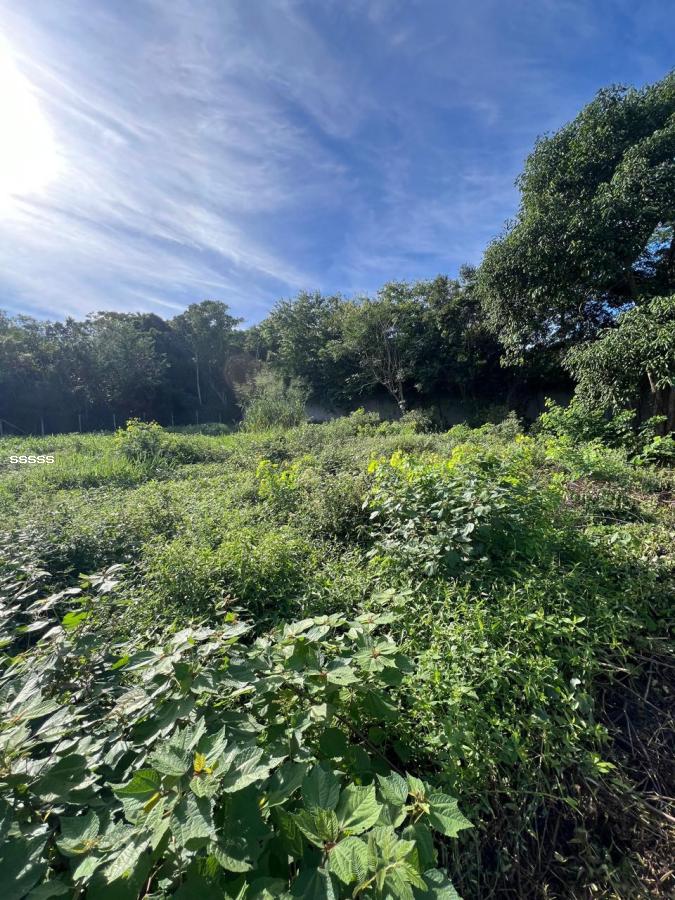 Terreno, 455 m² - Foto 17