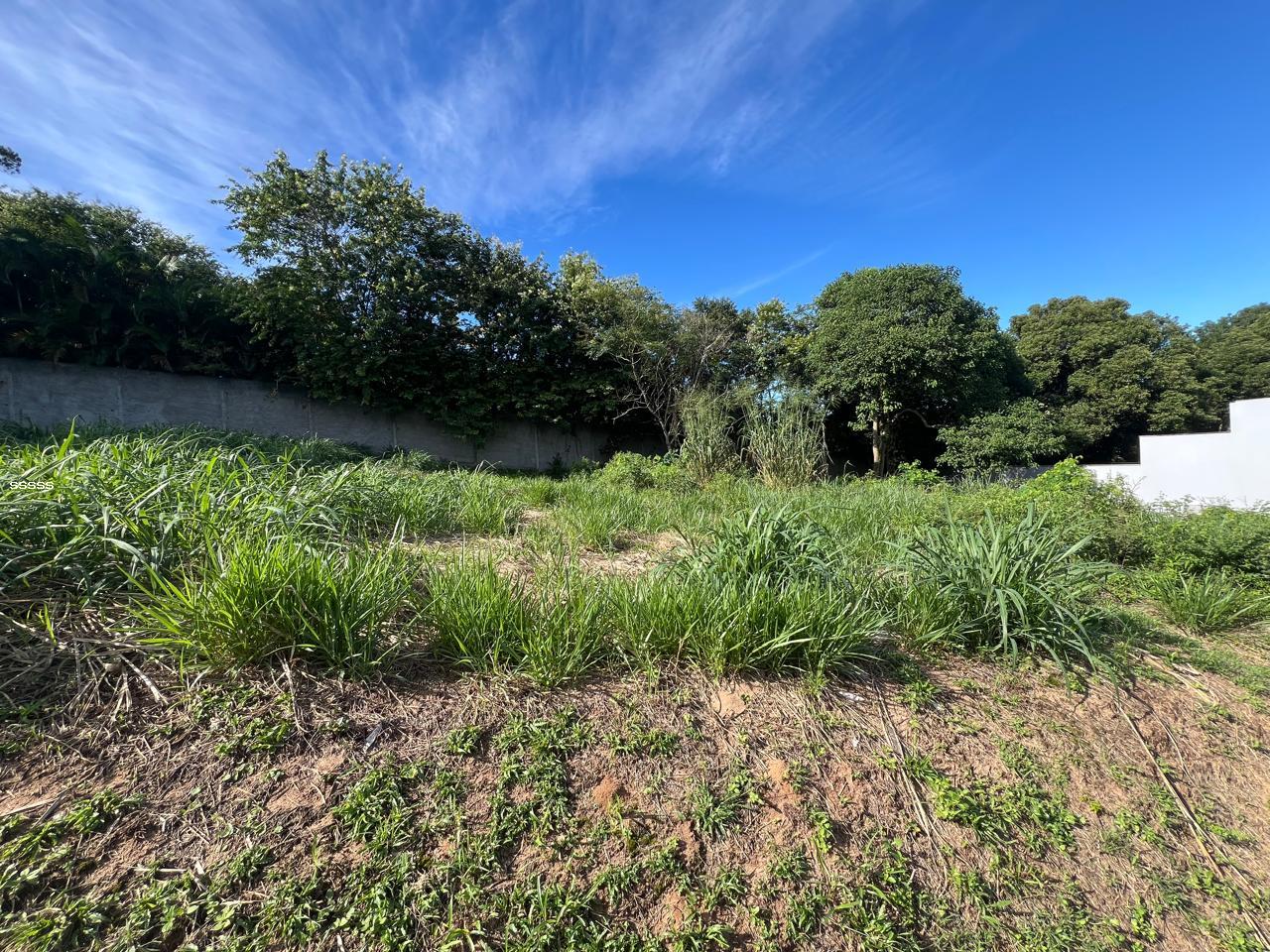 Terreno, 455 m² - Foto 4