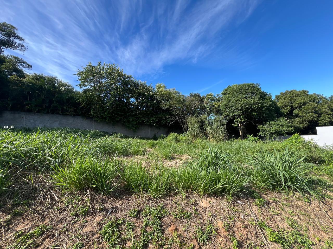 Terreno, 455 m² - Foto 6