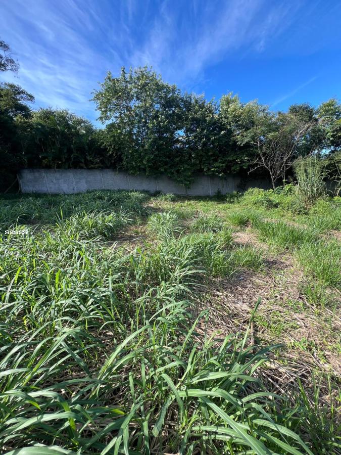 Terreno, 455 m² - Foto 11