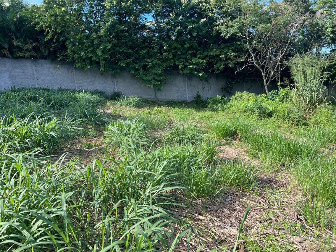 Terreno, 455 m² - Foto 12