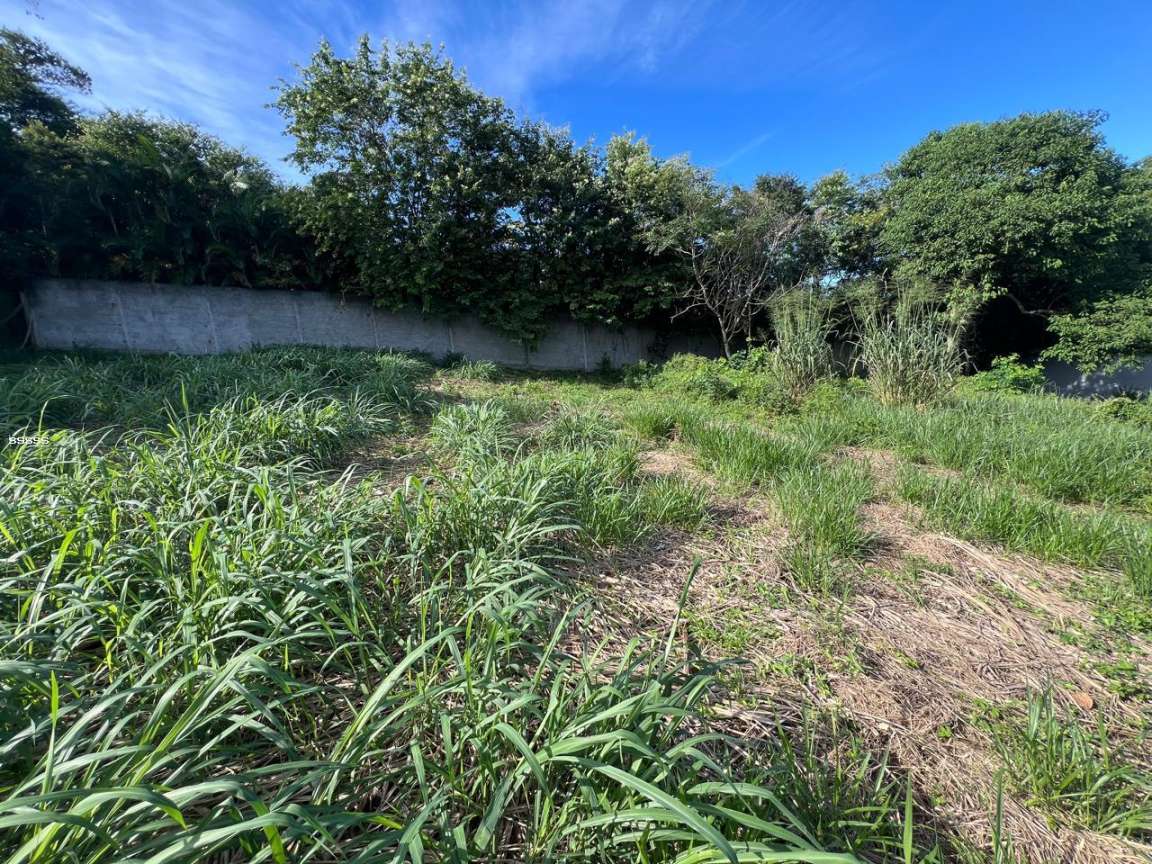 Terreno, 455 m² - Foto 19