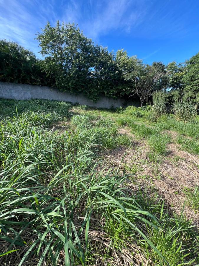 Terreno, 455 m² - Foto 20