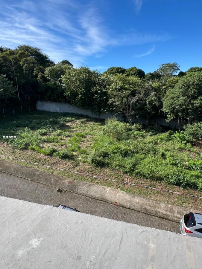 Terreno, 455 m² - Foto 22