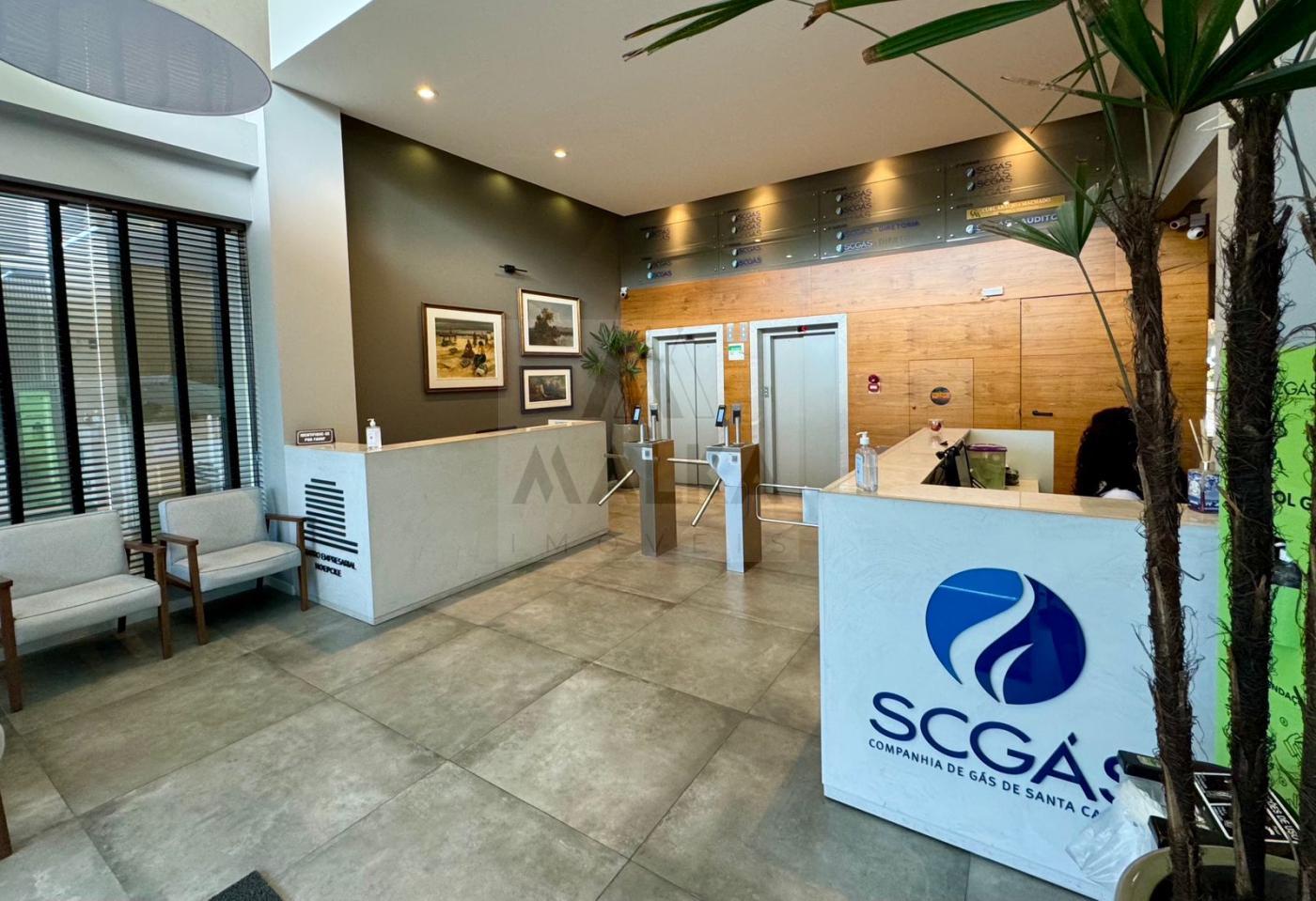 Sala-Conjunto, 367 m² - Foto 3