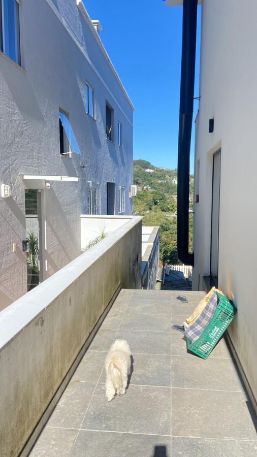 Casa, 4 quartos, 270 m² - Foto 36