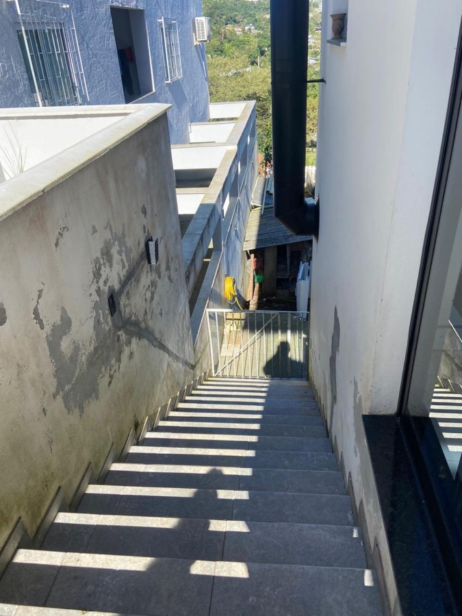 Casa, 4 quartos, 270 m² - Foto 29