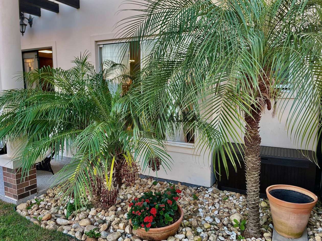 Casa, 3 quartos, 200 m² - Foto 17