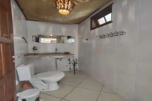 Casa, 5 quartos, 350 m² - Foto 4